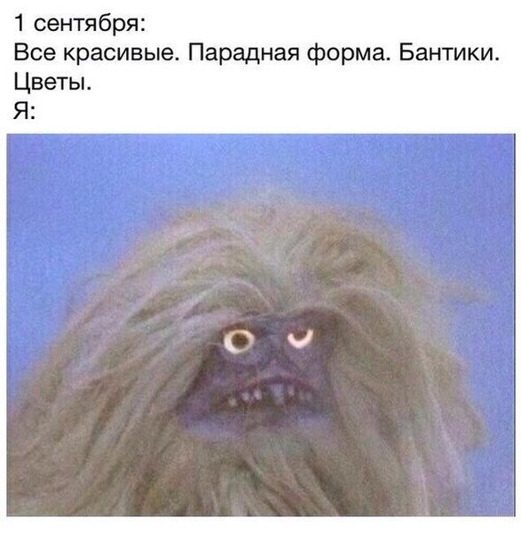 Винкс