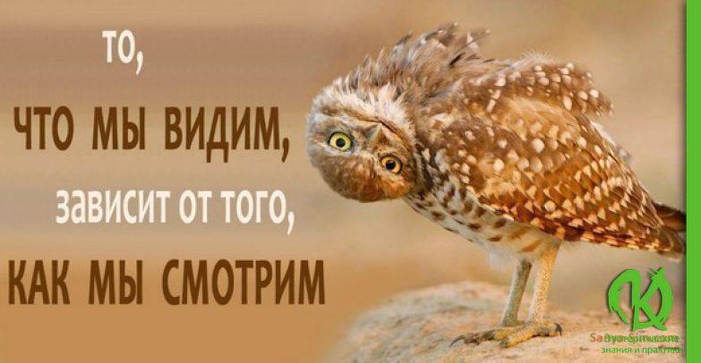 Зеланд о том, как не играть в чужую проблему: