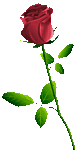 0_86fd8_126c135_S (84x150, 3Kb)